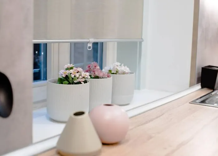 Full Comfort, 4 Bedrooms In The Heart Of The City